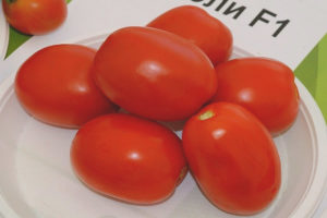 Tomate Chibli F1