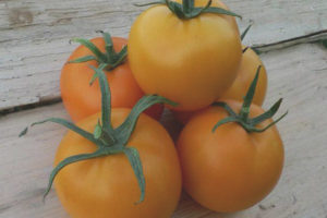 Madu Amber Tomato