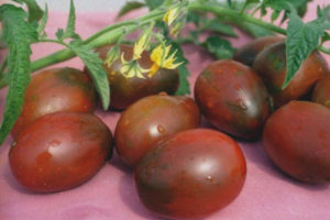 Lapin au chocolat et aux tomates