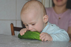 A che età un bambino può ricevere cetrioli