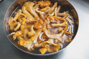 Comment faire cuire des girolles avant de les faire frire