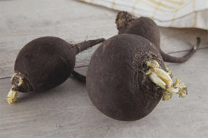 Black radish during pregnancy