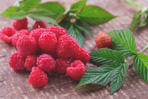 Framboises pour enfants